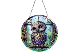 YKENDZ Xuoxeji Acrylic Window Suncatcher Decor,Stained Two-sided Panel Hangings Decorative Acrylic Window Window Hangings Decor Colorful Ornament (Owl)
