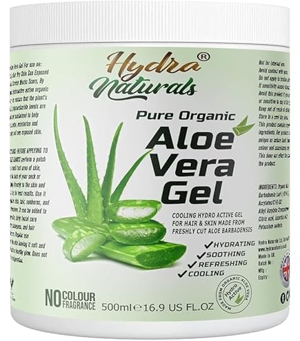 aloe vera racine Aloe Vera – Hey Rooted