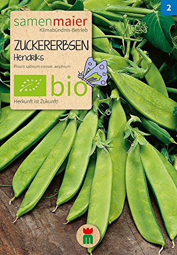Zuckererbsen Sweet Horizon | Bio-Erbsensamen von Samen Maier