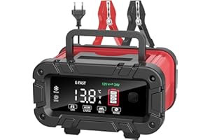 INTHOOR Caricabatterie Auto Moto 12V/24V 10A Intelligente con LCD, Mantenitore per Batterie AGM, Gel, SLA, LiFePO4, per Camion, Barche, Trattori