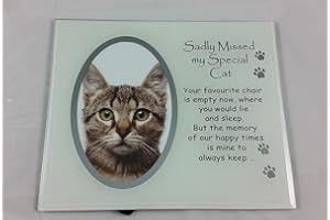 Earth Angel Grave Care Sadly Missed My Special Cat Memorial Photo Frame