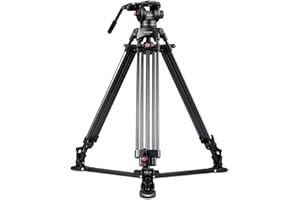 RAUBAY DV-2 Professional Fluid Head Video Tripod System, 69" Heavy Duty Camera Stands with Ground Spreader, Aluminium Twin Leg, QR Plate, Max Load 17lbs for DSLR, Digital Cine Style, Camcorder