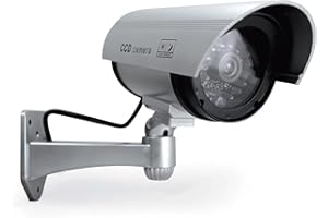 Avidsen - Camera - Security Cameras (avec Fil, Extérieur, Noir, Argent, Mur), Utilisation : extérieur OU intérieur, Résistance aux intempéries, Voyant Lumineux - 123054