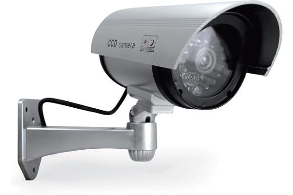 Avidsen - Caméra de Surveillance factice avec Voyant Lumineux 123054