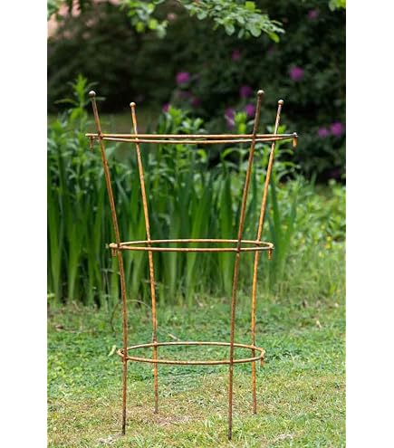 KUHEIGA Stabiler Staudenhalter Rost H: 80cm, Volleisen Strauchhalter,  Rankgerst, : Amazon.de: Garten