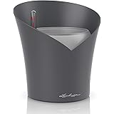 Lechuza ORCHIDEA Orchideenpflanzgefäß