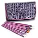 Glow Professional 25 piece Nail Art Brushes and Dotting Tools Set; Purple
