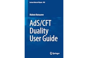 AdS/CFT Duality User Guide (Lecture Notes in Physics, Band 903)