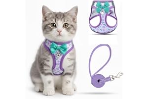 HAHEITA Cat Harness and Lead Escape Proof for Walking, Adjustable Soft Kitten Harness with Reflective Straps Step in Cat Vest for Small Kitten and XS Dogs