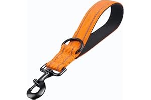 DRATENGER Laisse Courte pour Chien de 30 cm, avec Clip en métal et Rembourrage Doux, réfléchissante, en Nylon, Convient aux Chiens de Taille Moyenne et Grande (Orange, Taille S)