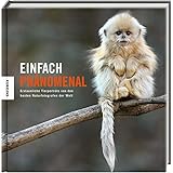 Einfach phänomenal: Einfach unglaubliche Tierporträts des World Wildlife Photographer of the Year-Preises für Naturfotografie