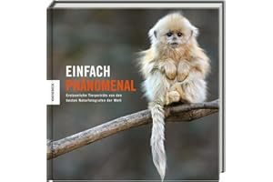 Einfach phänomenal: Einfach unglaubliche Tierporträts des World Wildlife Photographer of the Year-Preises für Naturfotografie