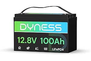 Dyness Batería LiFePO4 12V 100Ah, 12V Batería de Litio Hierro de Fosfato de Ciclo Profundo con 100A BMS, Protección de Baja Temperatura, para Autocaravana, Marina, Campistas, Sistemas Solares