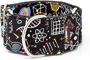 candyPet Martingale Hundehalsband – Modell Science L