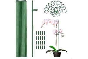 MEEYUU 20Pcs Plant Stakes Green Garden Single Stem Plant Support Stakes, Plant Support Sticks with Rings for Indoor and Outdoor Plants,Flowers,Tomatoes (60cm)