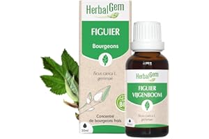 HERBALGEM - Macérât-Mère - Figuier Bio - Complément Alimentaire Gemmothérapie Concentrée - Extrait De Bourgeon Frais - Pour Digestion - Vegan - 30 ml