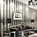 Produktbild LFNRR hoher Qualität einfach und modern Vliestapeten Schlafzimmer Wohnzimmer Sofa TV Hintergrund Wand solid gold silber schwarz und Weiß horizontal gestreifte Tapete Meter lang und 9,5 Meter breit und 0,53 m, 11086