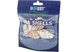 Hobby Snack Vågset, L, 5 delar