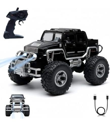 Buy LOSI LOS06000T1 1/4 PROMOTO-MX 1/4 RTR RC Motorcycle - FXR