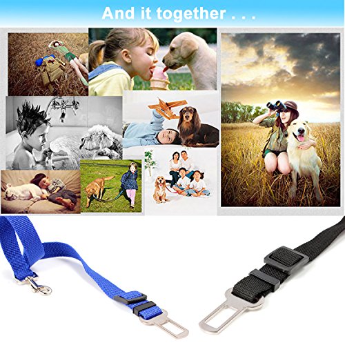 Neuftech-Adjustable-seat-Vehicle-Seat-Belt-for-Dogs-and-Cats-adjustable-safety-seat-belt-restraint-for-travel-with-your-dog-pet-Black