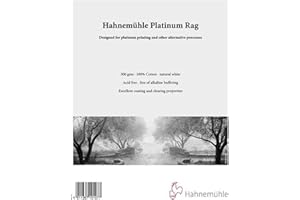 Hahnemühle Platinum Rag 20,3 x 25,4 cm 25 feuilles pour platine et les Processus de Alternative