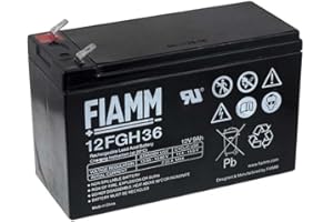 FIAMM Batterie au Plomb Rechargeable 12FGH36 (hochstromfest), 12V, Lead-Acid [ Batterie au Plomb ]