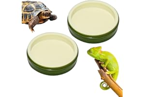 Vikrami lighting 2Pcs Reptile Food Water Bowl Plate Dish,Tortoise Accessories Shape tortoise Food Bowl Reptile Feeder,Tortoise water bowl,Tortoise accessories,Reptile water bowl for Crawl Pet ﻿