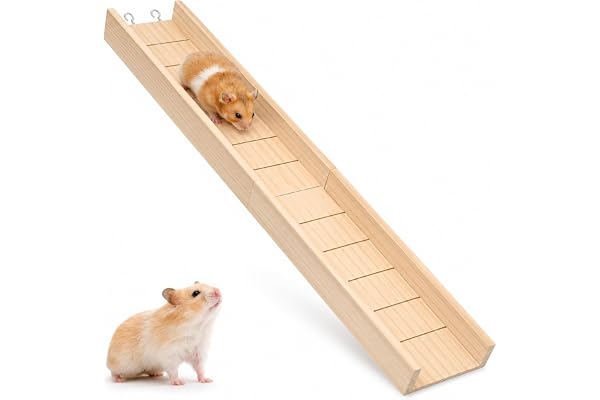 QingWing Klättringsramp för marsvin hopfällbart trä 60 cm | Hamsterburklättring ramp, marsvinsramp små djur chinchilla ekorrar kaniner råttor