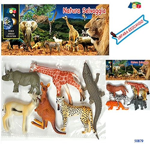 givi-ginocchio sRL enveloppe Zoo Nature sELVAG. 50879