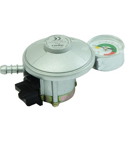 IGT Régulateur Gaz Butane 21 Mm Avec Manomètre Niveau Et Fuite - 30 Mbar Pour Bouteille 7 Kg