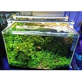 OrionLed Akvaryum Led Aydınlatma Beyaz 50Cm 6500K