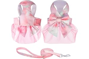 BT BEAR Juego de arnés para perro con correa, falda tutú de princesa para perros pequeños, bonitos vestidos de cachorro con lazo, ropa para mascotas (S, rosa)
