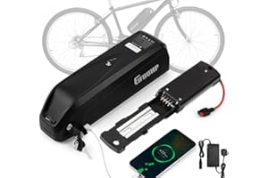 EIFDUHP 48V Ebike Battery 13AH, Electric Bike Battery Pack Lithium-ion with Charger Baseplate for 1000W 750W 500W 350W 250W 200W Motor