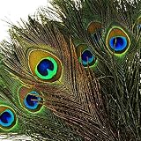 ✪100% auténticos plumas de pavo real natural