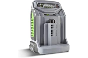 Chargeur rapide de batteries Ego Power+ CH5500E