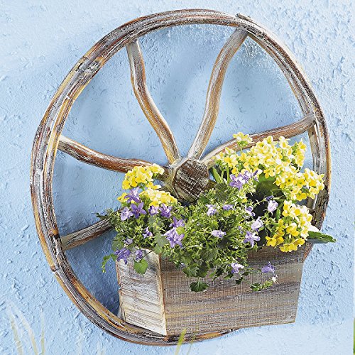 Blumen-Rad