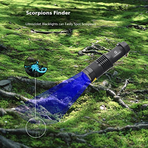 Hisea Portable Mini-UV-Lampe Taschenlampe mit grellem Licht als Urinfleckendetektor für Pet Partner / Scorpion / Spek / Gefälschte Brille mit UV - 4
