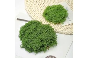 Frogetu Sztuczny mech do dekoracji, majsterkowania i modelarstwa, 100 g, kreatywna zieleń, do szopki na ścianę, akwarium