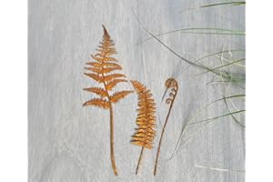 RHHGOPM 3 Stück Rost Gartenstecker,Vogel Gartendeko Gartenstecker Roststecker Metall Vögel Baumstecker Rost Deko für Draußen Outdoor (vegetativ)