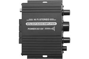 XIAOJUN 12V Mini Audio Power Amplificatore per Auto Ricevitore Audio Digitale AMP Dual Channel 20W + 20W Bass Volume Control per La Casa