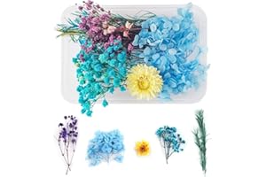 WJIAEER Flores naturales secas en relieve Flores preservadas Resina DIY Joyería Vela Arte de uñas Artesanía Scrapbooking Decoración floral（O）. (F)