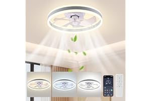 Sunowl Ceiling Fans with Lights, 50cm Ceiling Fan with Remote Control, LED Ceiling Light with Fan with Smart 3 Light Color, 6 Speed, Dimmable, Timing for Bedroom Living Room