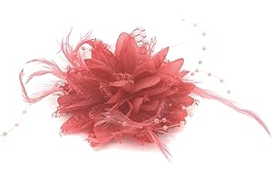 CAPRILITE Flower Feather Bead Corsage Hair Clips Fascinator Hairband and Pin (Coral)