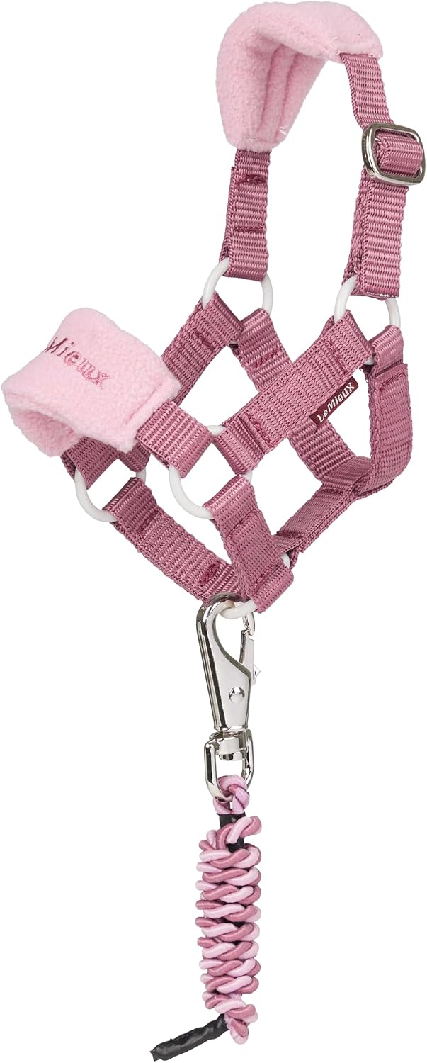 LeMieux Toy Pony Vogue Headcollar & Leadrope - Suitable For Ages 3+ - Perfect Toy Version of the LeMieux Vogue Headcollar - Mallow