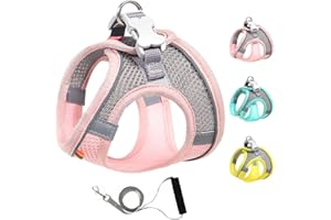 Mitili Arnes Perro Antitirones con Correa, Ajustable Transpirable Reflectantes Cómodo Chalecos Perro, Arnés Juego de Arnés y Correa para Perros y Gatos de Pequeño y Mediano (S, Fresco Rosa)