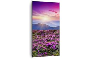 ARTTOR Cuadros Decoracion Salon Pradera Montaña Cielo Paisaje Lienzos decorativos 65x120cm Cuadro Sobre Lienzo Moderno Vertical Dormitorio Cuadros Pared Imágenes Wall Art Prints Decor Grande PA65x120-2719