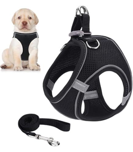 Harnais Réfléchissant Pour Chien - Anti-traction, Réglable Et Rembourré, Taille XXL (Tour De Poitrine 84-108cm) - 9