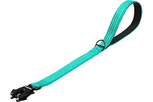 PetBonus kraftigt kort hundkoppel, nylon trafikbly med snabbkopplingsklämma, bekvämt vadderat handtag, reflekterande tränings