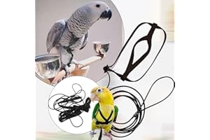 GETTIMORE Imbracatura per pappagalli facile da allungare e stringere, fibbie regolabili in plastica (S)