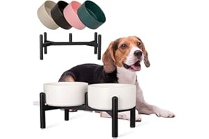 PTOBER Raised Ceramic Dog Bowl Set - Elevated Double Dishes with Stainless Steel Stand - Food and Water Bowls for Small to Medium Dogs - Each Holds 2 cups (28.75 fl oz) - White